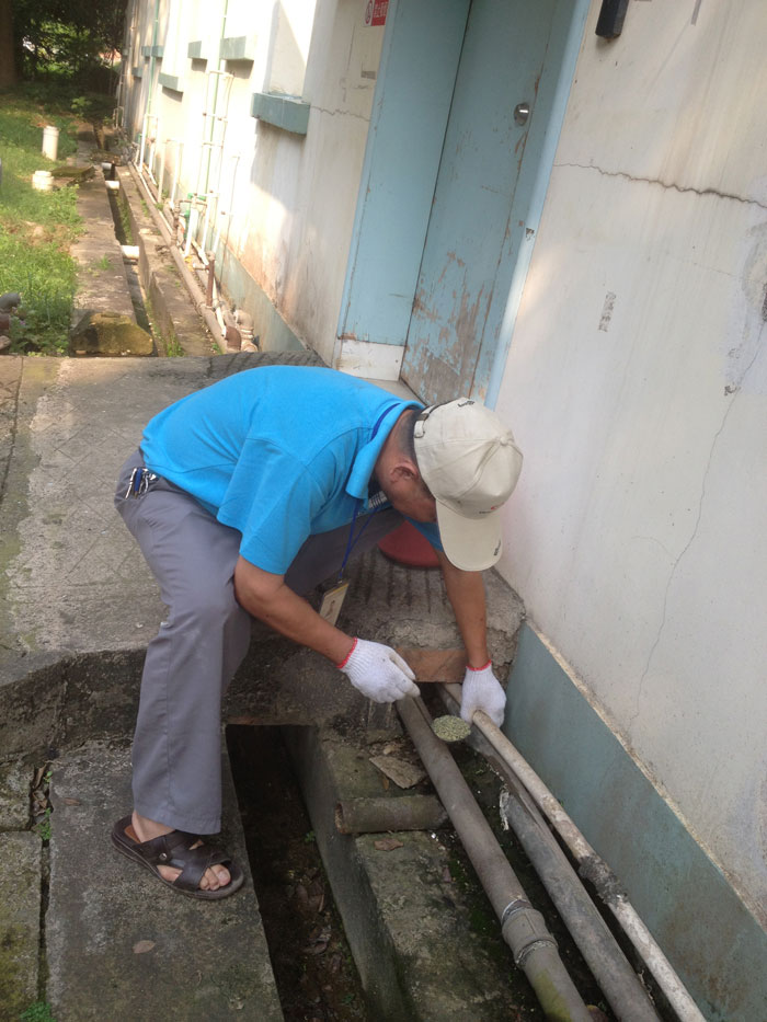 如何趕走螞蟻？消滅螞蟻這“六大忌諱”別做！