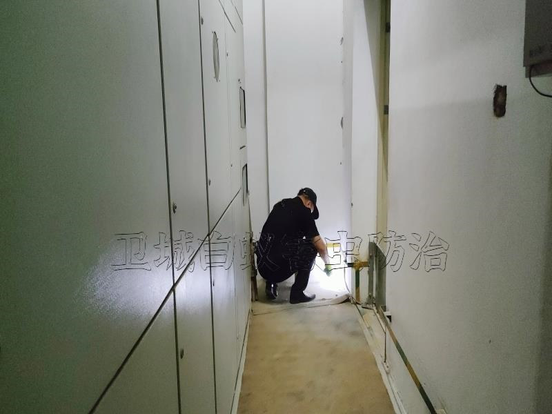 居家發(fā)現(xiàn)白蟻怎么辦?惠州惠城河南岸滅白蟻,江北白蟻防治